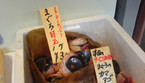 1. Occhi di tonno - Giappone (ANSA)