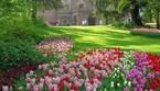 I tulipani del castello di Pralormo, in provincia di Torino (ANSA)