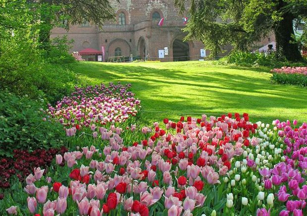 I tulipani del castello di Pralormo, in provincia di Torino © ANSA