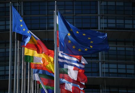 Bandiere al parlamento europeo © EPA