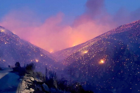 Incêndios queimam uma floresta em Distomo, Viotia, Grécia central, em 2023