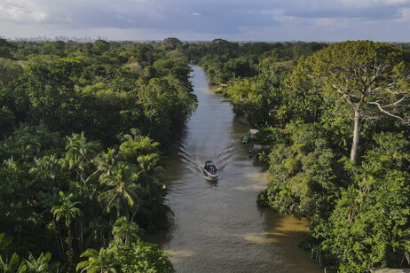 Vista aérea de rio na Floresta Amazônica