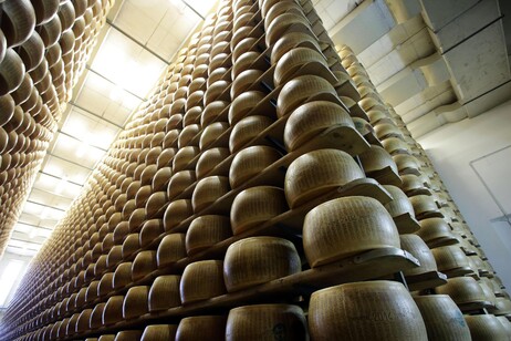 Parmigiano Reggiano é um queijo DOP italiano