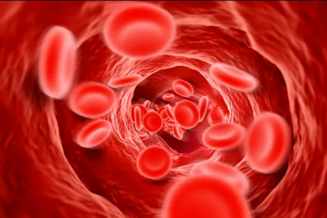 L’ipertensione è un disturbo spesso ereditario (fonte: Darryl Leja, National Human Genome Research Institute)