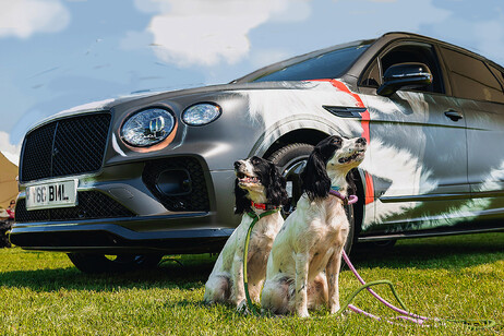 Bentley a evento Goodwoof, il lusso a disposizione dei cani