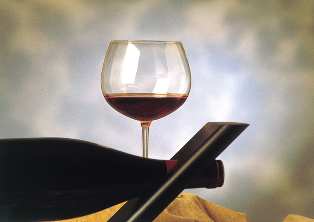 In Usa i vini italiani più conosciuti dopo i californiani © ANSA 