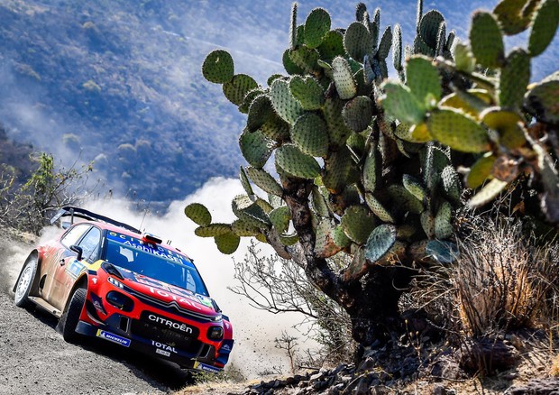 WRC, rally del Messico: show all'apertura, poi stop nel Day1 © ANSA