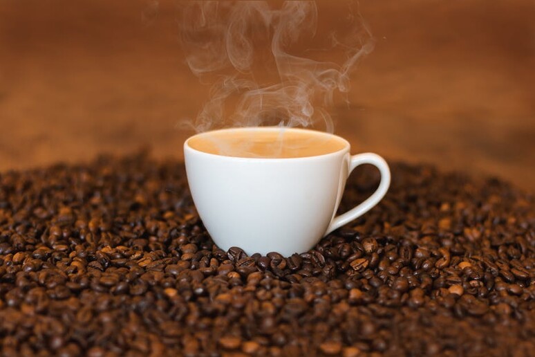 La passione per il caffè è scritta nel Dna (fonte: Pexels) - RIPRODUZIONE RISERVATA
