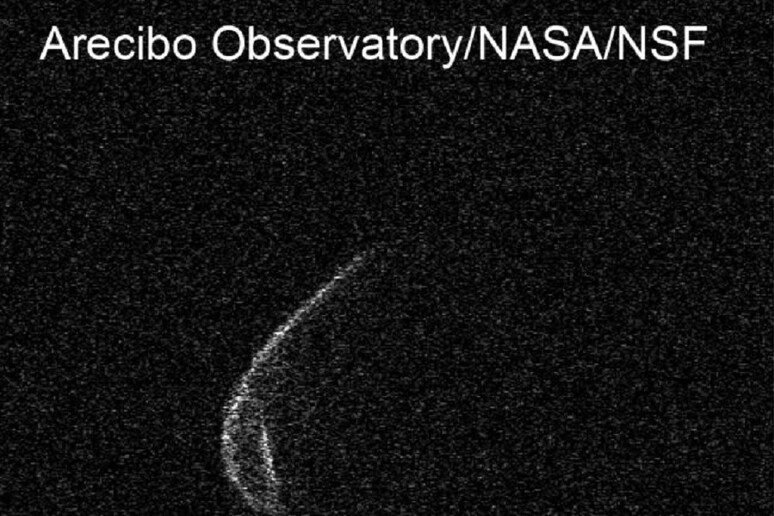 L 'asteroide 1998 OR2 fotografato all 'osservatorio di Arecibo il 18 aprile 2020 (fonte: Arecibo Observatory/NASA/NSF) - RIPRODUZIONE RISERVATA